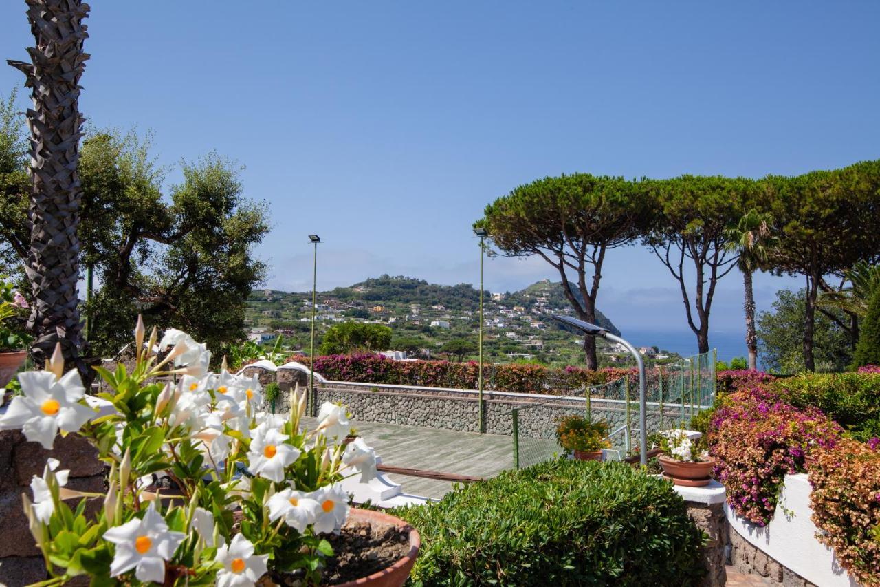 Villetta Con Giardino Esclusivo Di 1000 Mq, Piscina, Tennis, Calcio, Bocce Forio di Ischia Exterior foto